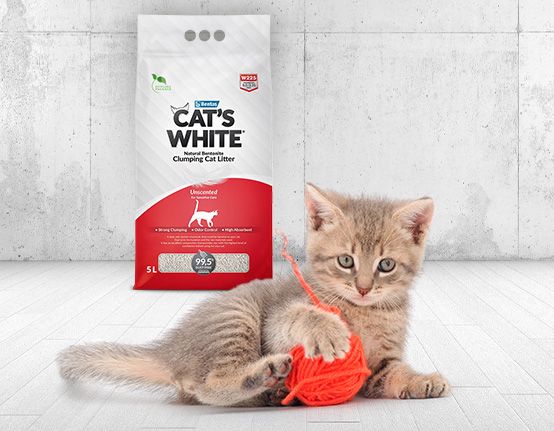 Стерилизовать или нет?