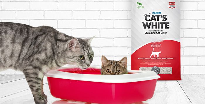 Что нужно знать о вакцинации