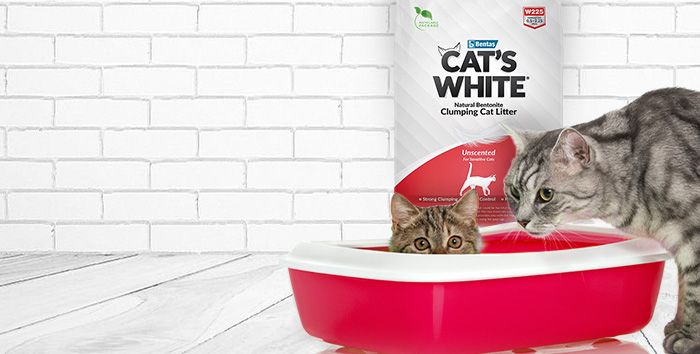 Что нужно знать о вакцинации