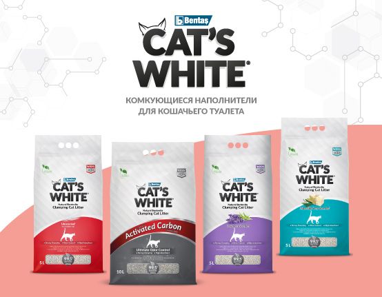 Как приучить кошку к новому виду наполнителя