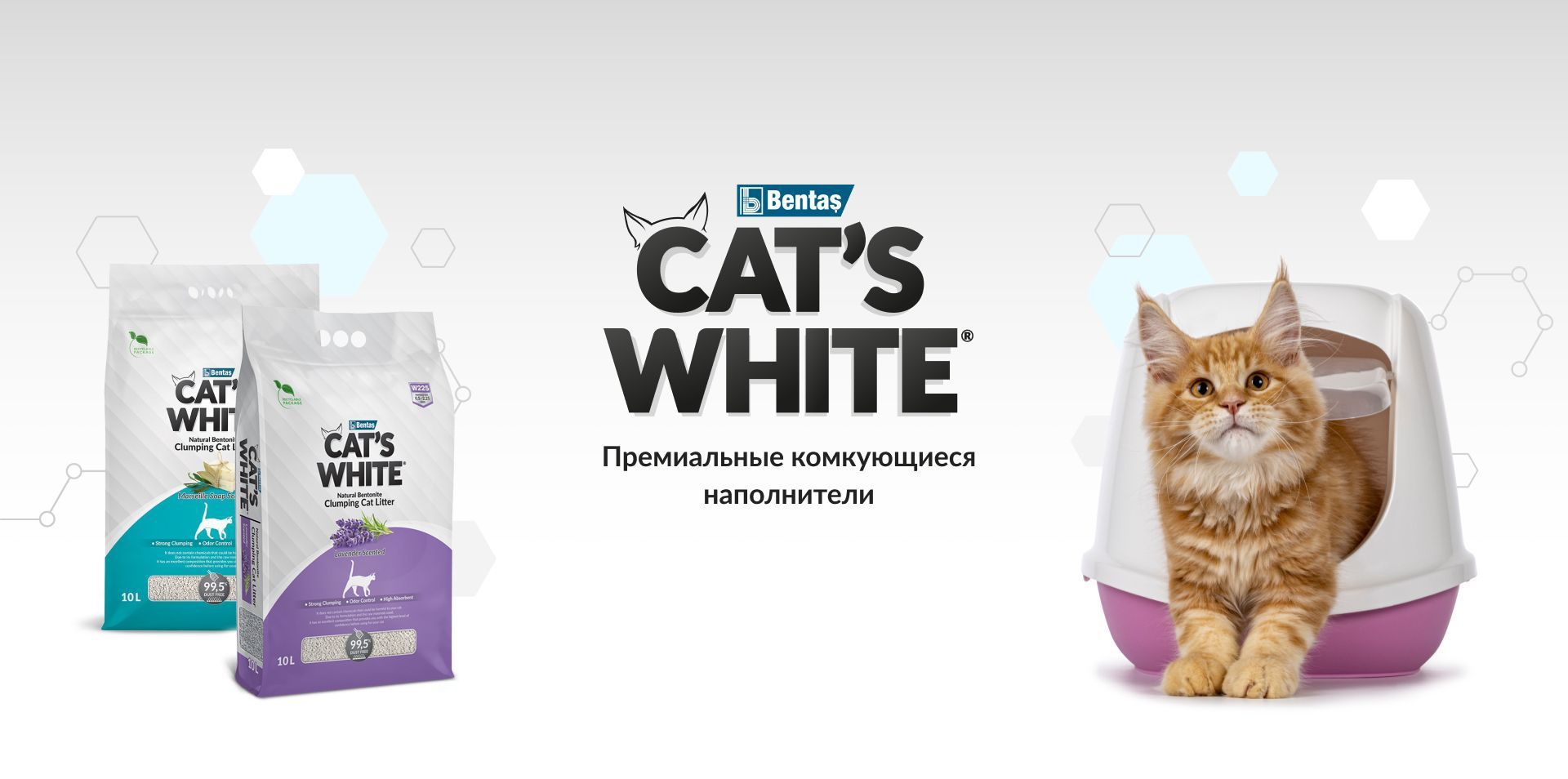 Баннер 06.02.2026